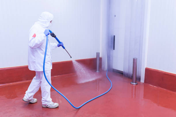 Paint Preparation in Needles, CA